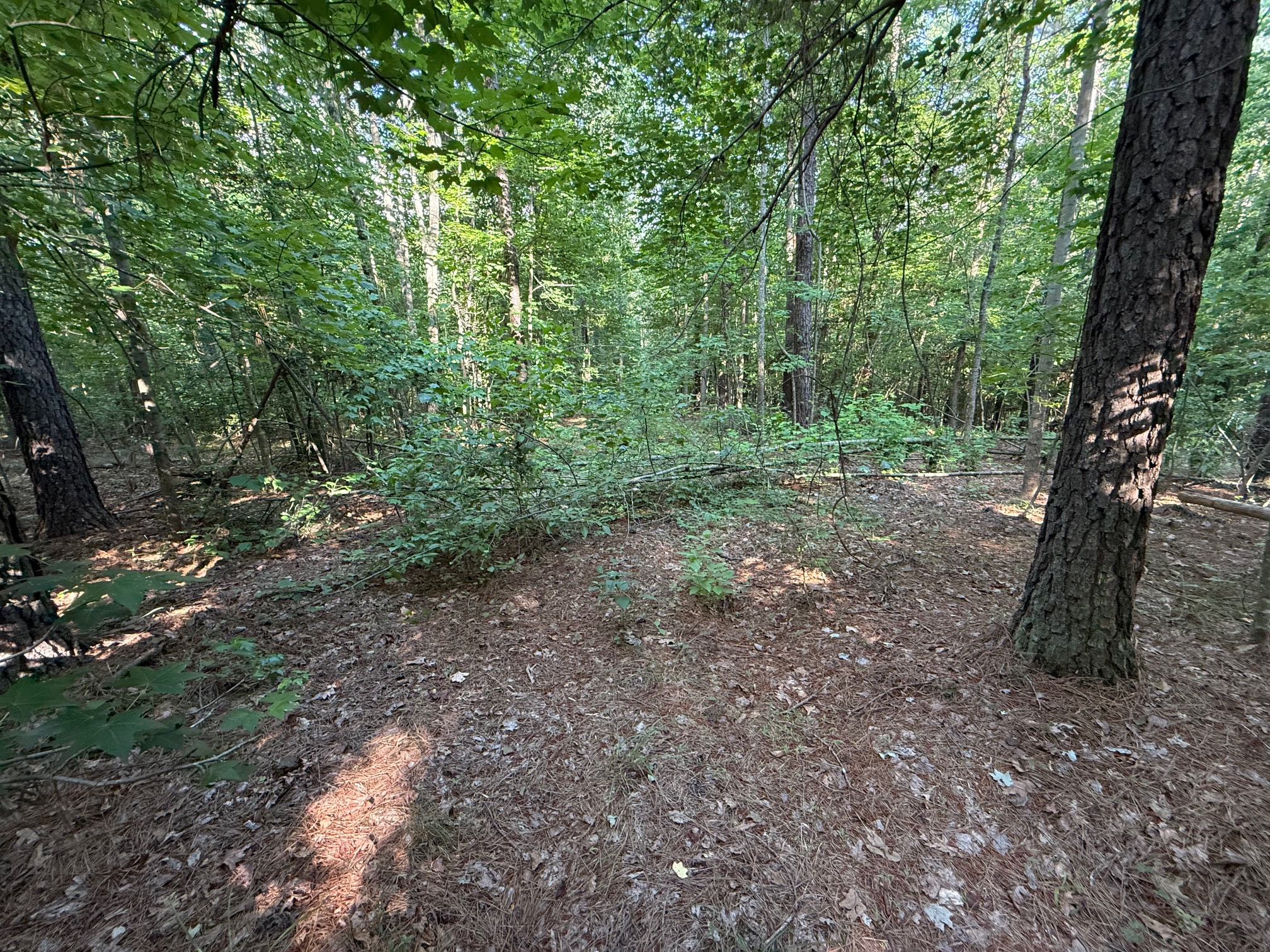 The first results of our off-season work