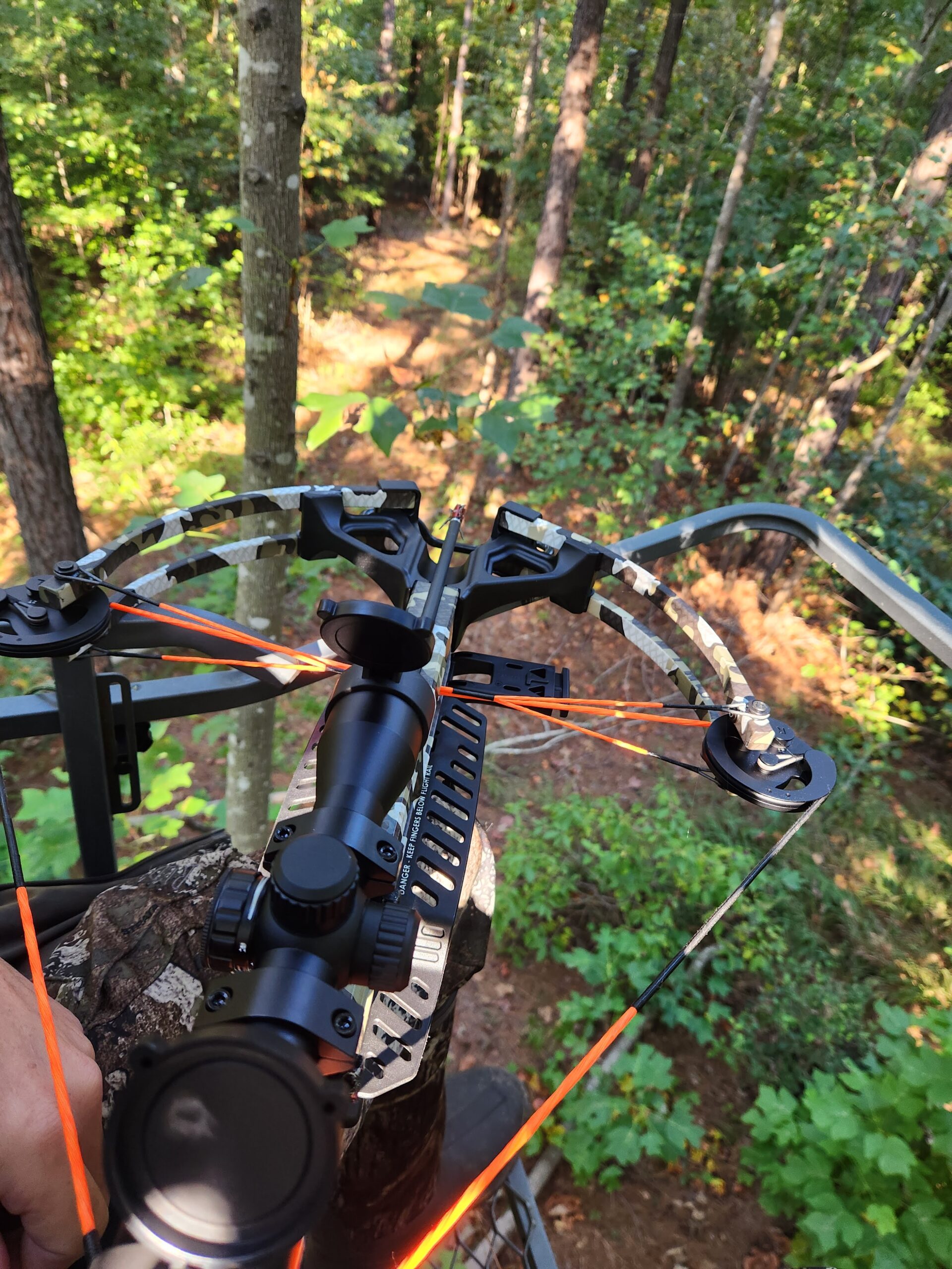 Starting Your Wild: The First Bow Hunt of the Season