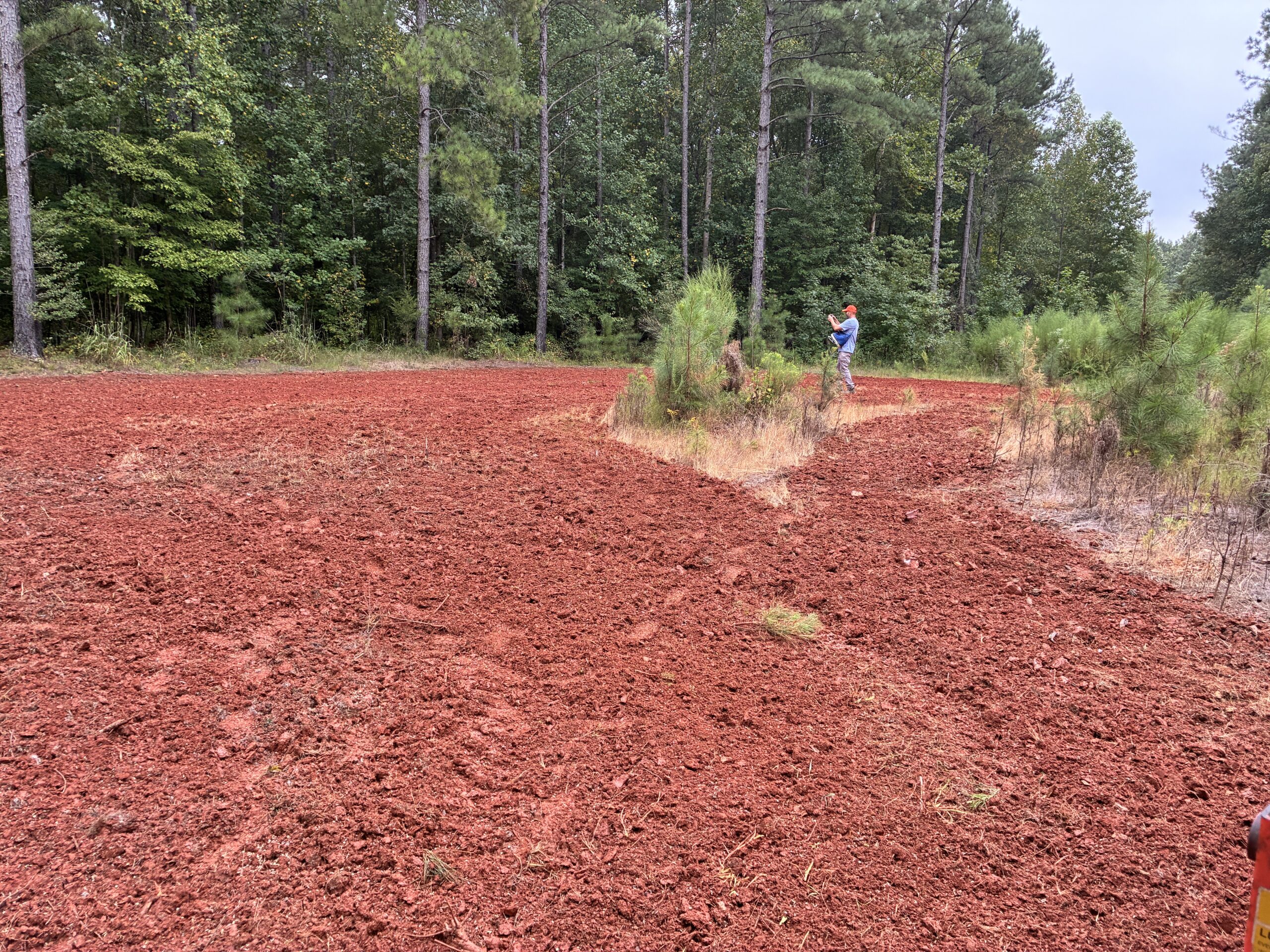 Cultivating Conservation: New Food Plots for the Next Generation of Hunters