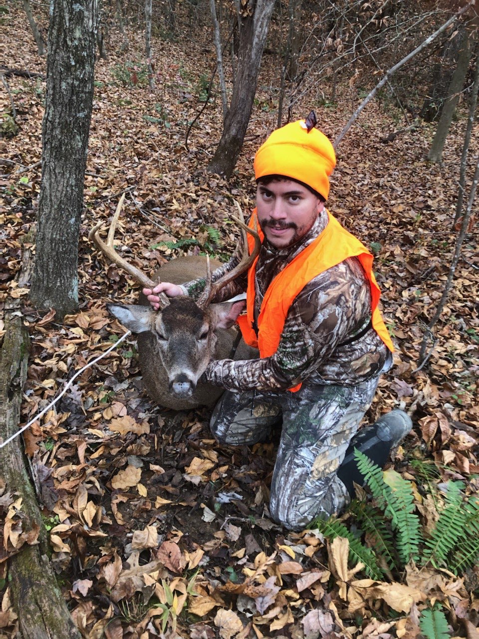 The Quiet Lessons of the Woods