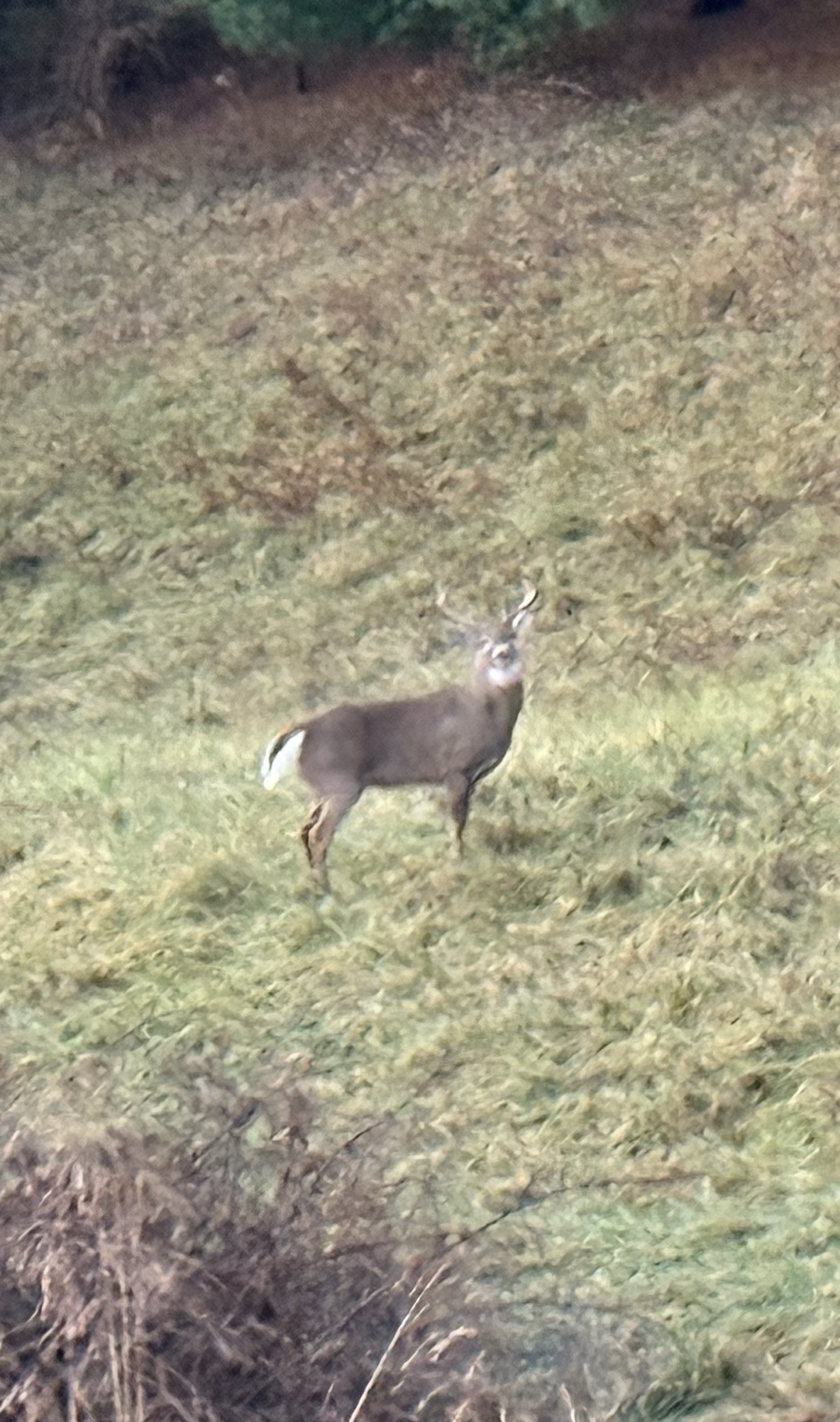 Opening day, Appalachian Mountains